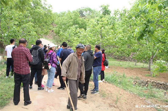 1577086265458589.jpg 16.jpg