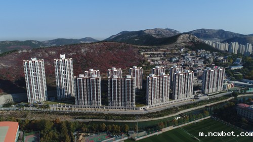 1577151487680977.jpg 51.jpg