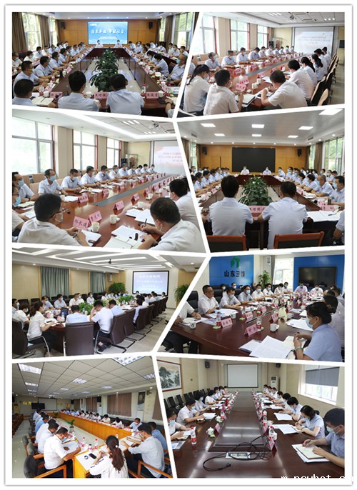 1597119177762174.jpg 5.jpg