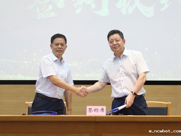 1597119202474056.jpg 6.jpg