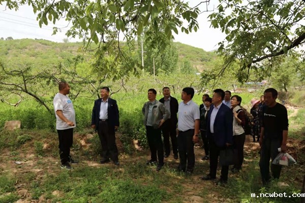 1620717384814726.jpg 4.jpg