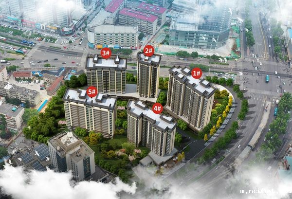 ncwbet.com明湖壹品苑项目开盘了!