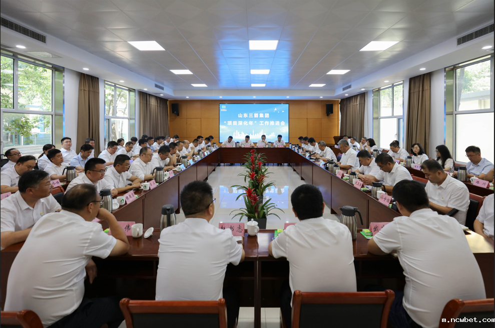 山东点点taptap国际召开“项目深化年”工作推进会