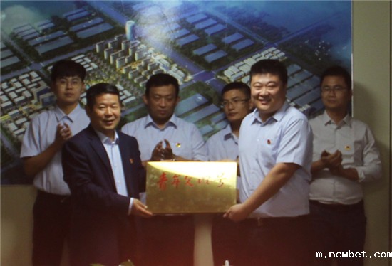 凝聚青春力量 助推企业发展――点点taptap国际团委开展青年文明号授牌仪式暨“青春心向党?建功新时代”团员青年座谈会