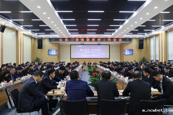 山东点点taptap国际召开经济工作会议