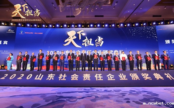 山东点点taptap国际荣获“2020山东社会责任企业”奖项