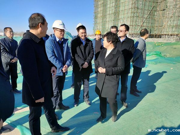 济阳区委书记秦蕾调研ncwbet.com・河畔壹品苑项目建设情况