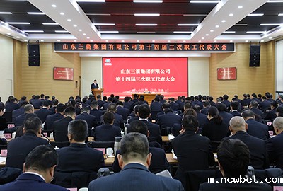 山东点点taptap国际召开第十四届职工代表大会第三次会议